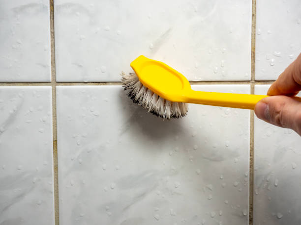  Salmon Creek, WA Mold Removal Pros