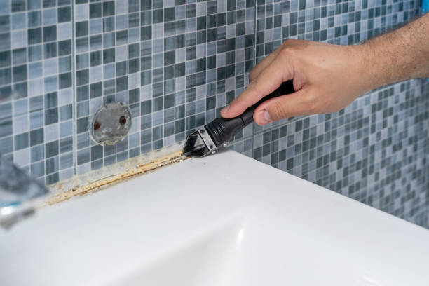 Professional Mold Removal in Salmon Creek, WA